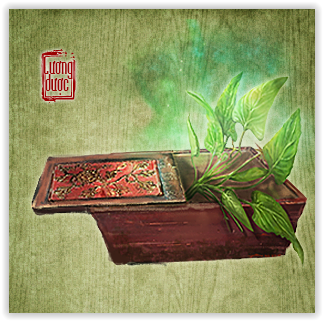 Viên Hàn Thảo